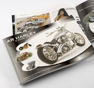 <span>Harley Davidson<br>Brochure</span><i>→</i>